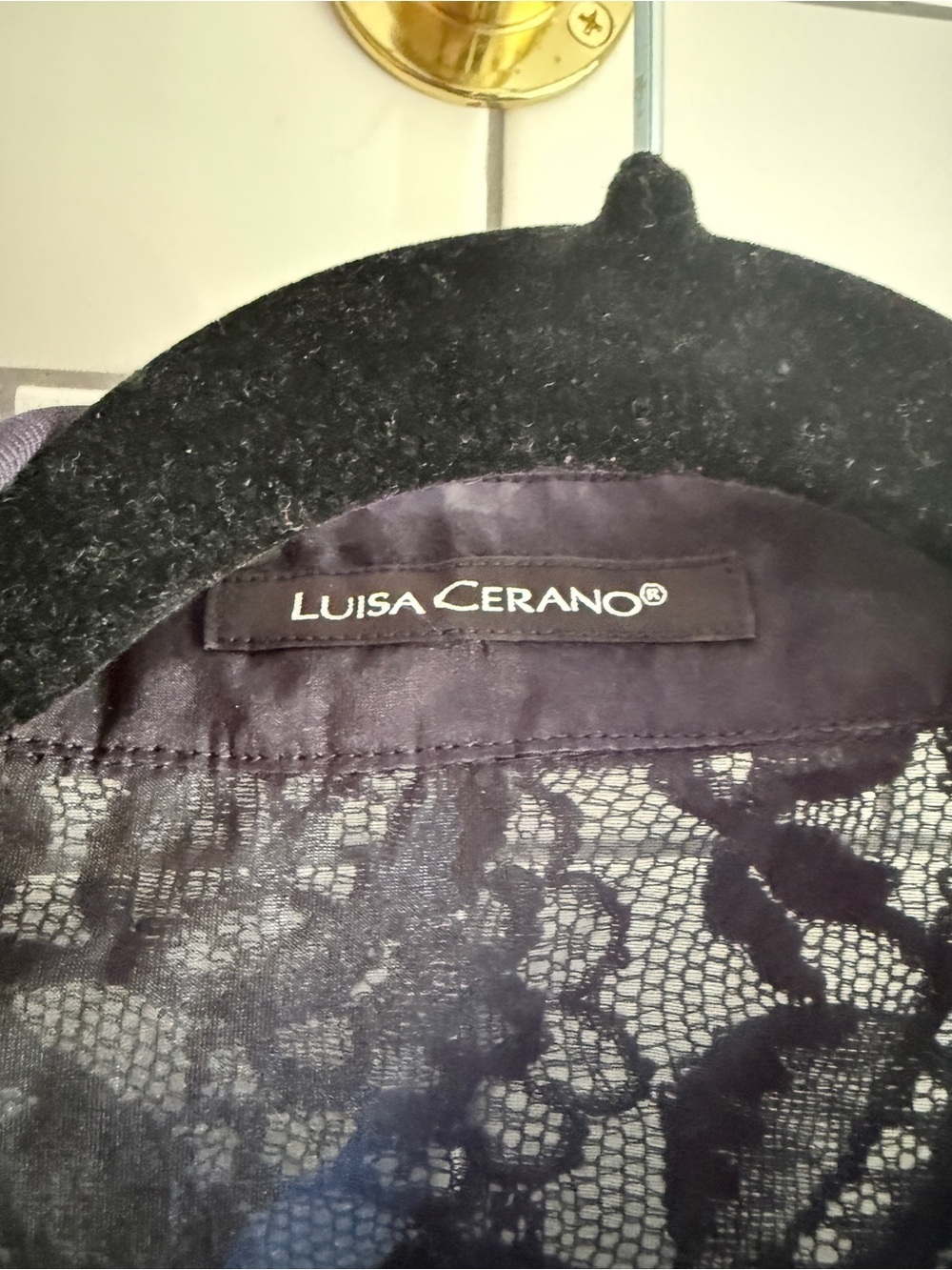 Luxury Designer Sheer Black Lace Button-Front Blouse (QUIET LUXURY) - Picture 4 of 5